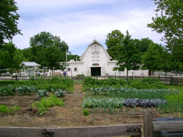 The Lincoln Park Zoo Edible Garden Photo courtesy of The Organic Gardener, Ltd.