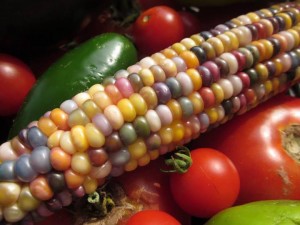 rainbow corn